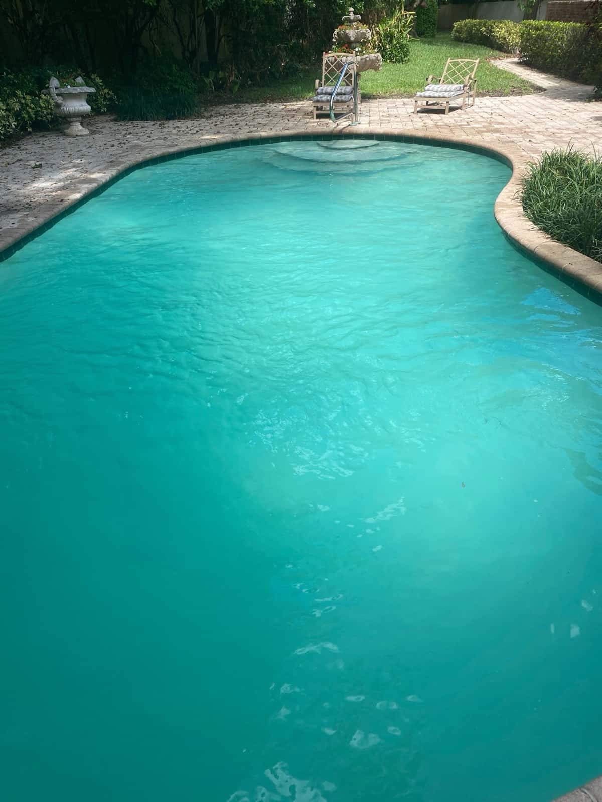 After — Royal Palm, Pebble Sheen install