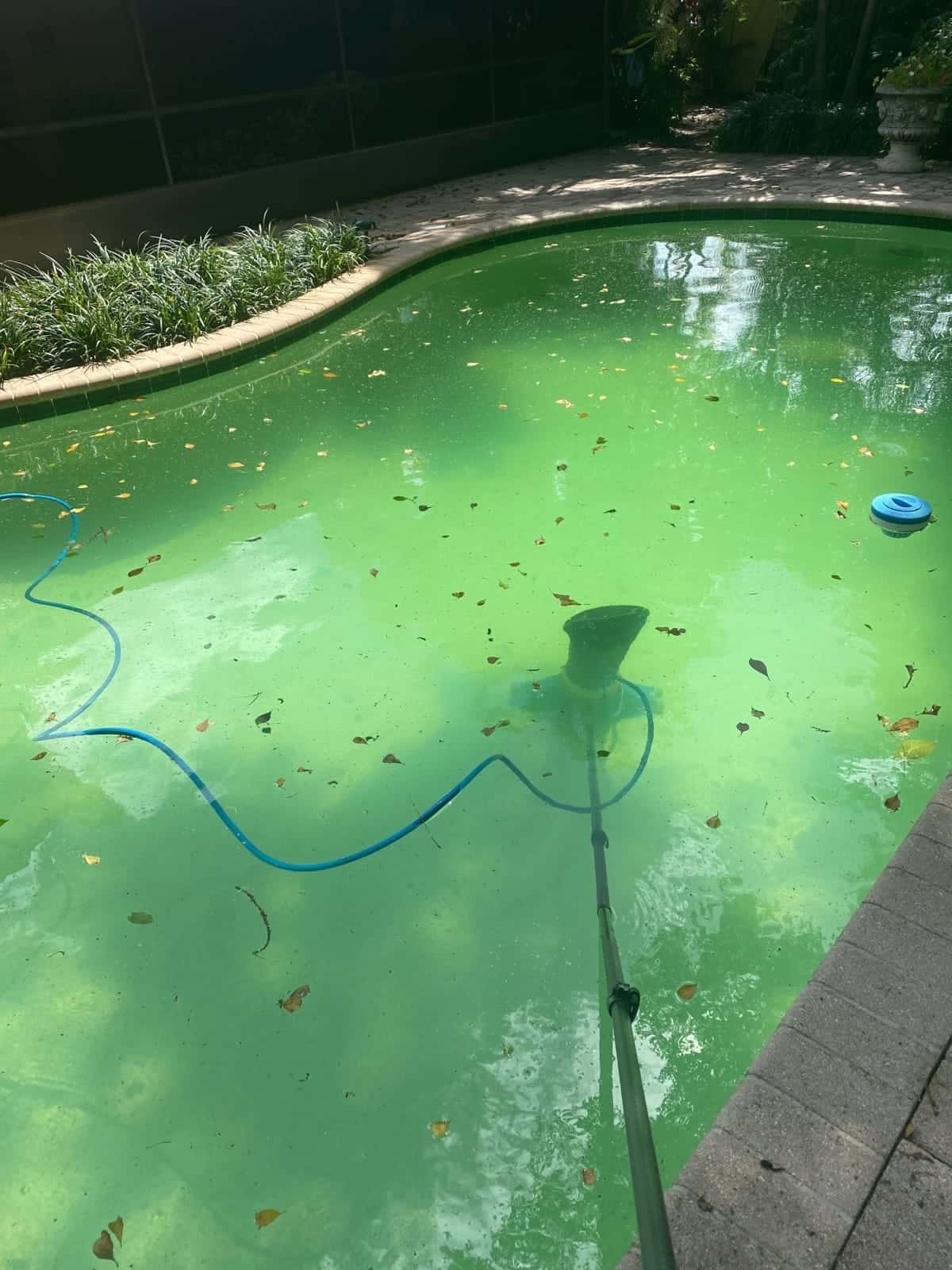Before — Royal Palm, Pebble Sheen install