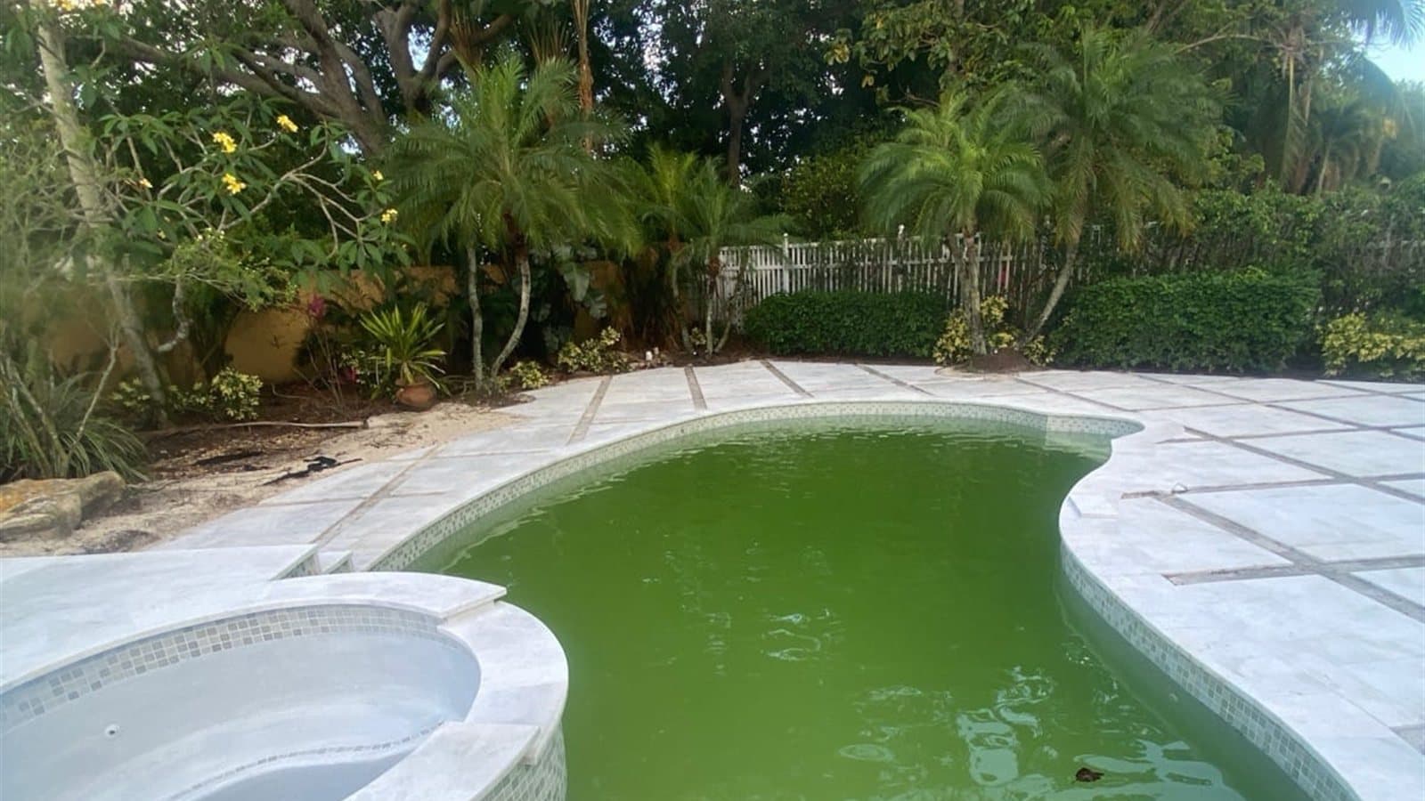 Algae Blooms in Delray Beach Pools: Why Summer Rains Trigger Them (and the 7-Step Pre-Storm Protocol)