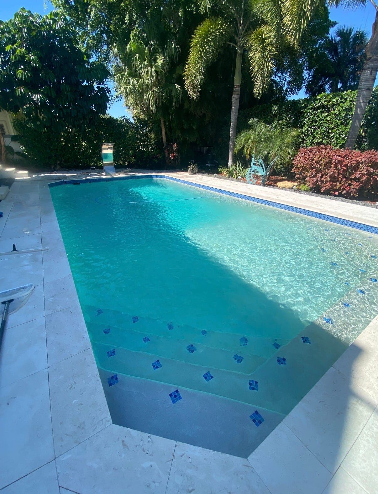 A South Florida pool with a clean blue waterline tile band and blue accent tiles on the steps, free of calcium scale
