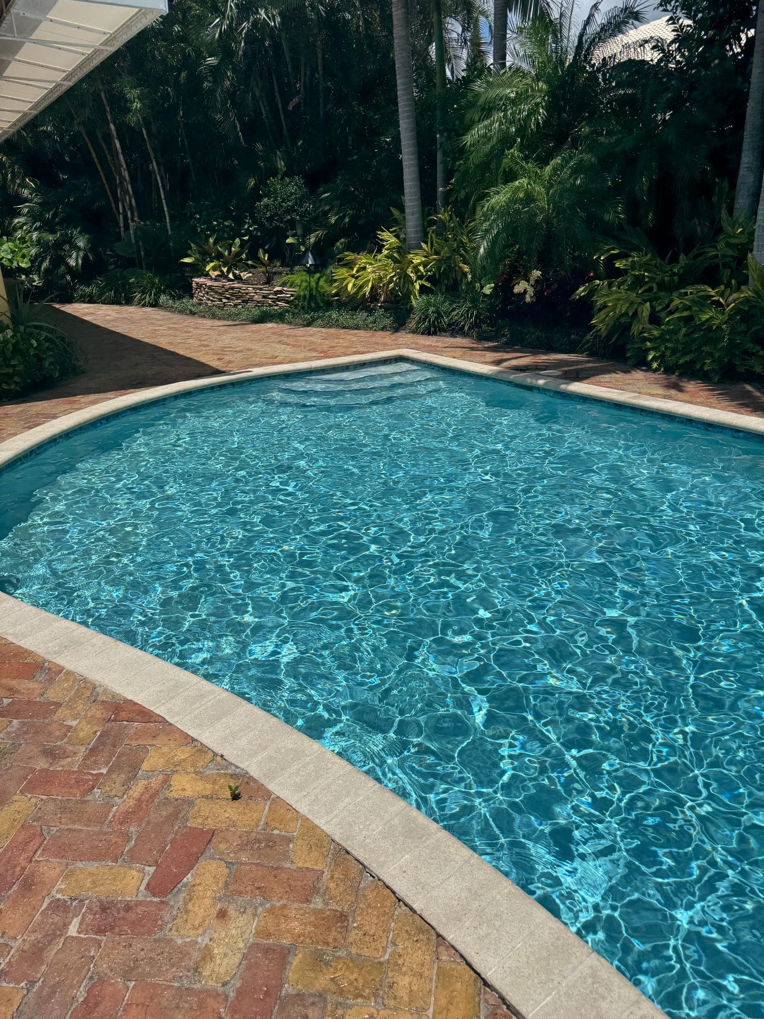 Close-up of a clean South Florida pool edge and plaster surface after servicing, free of staining and scale