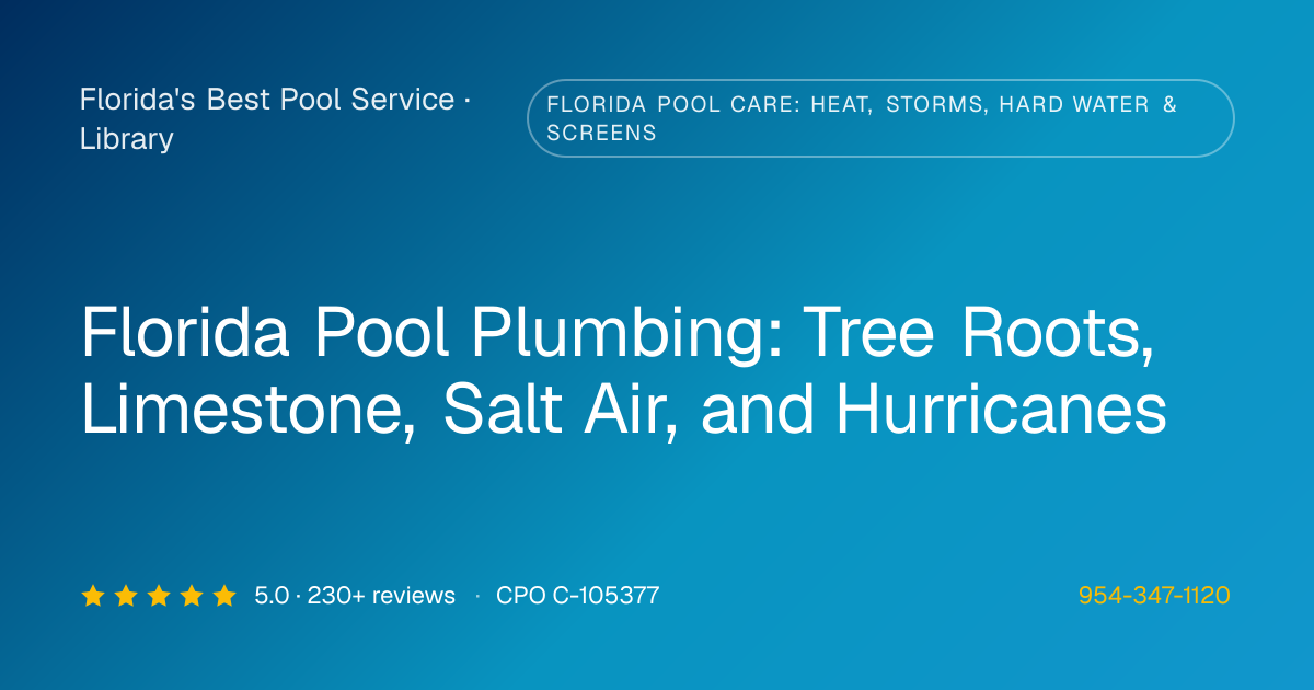 Common Florida-Specific Plumbing Issues | Florida's Best Pool Service