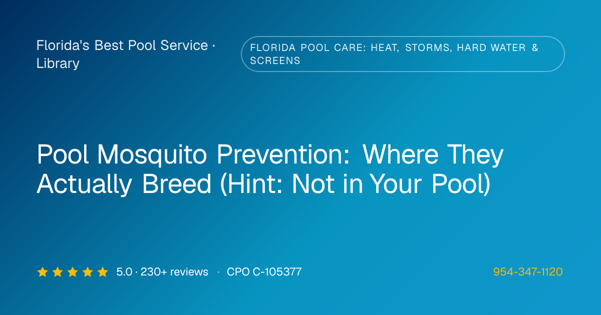 Mosquito Prevention Around the Pool | Florida's Best Pool Service