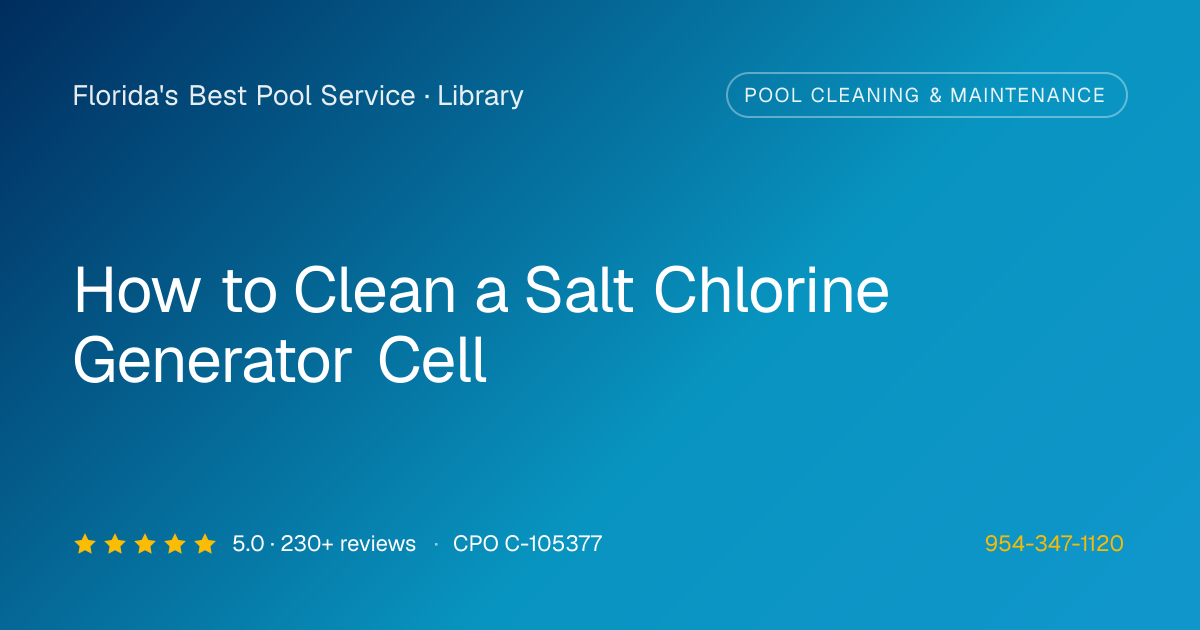 Salt Cell Cleaning | Florida's Best Pool Service